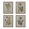 4-piece Botanical Illustration Framed Canvas Wall Art Set
